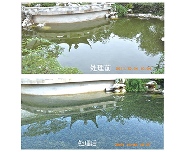 浙江杭州綠城小區景觀水處理