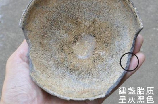 假建盞的特點(diǎn)，真假建盞區分帶圖