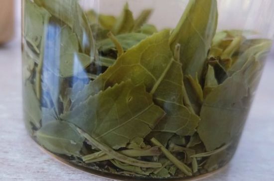 綠茶陳茶和新茶區別，綠茶怎樣區分新茶和陳茶
