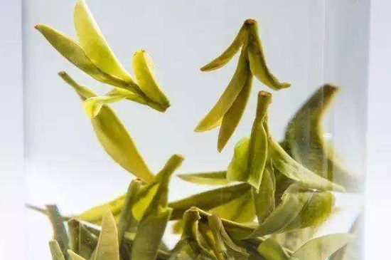 烏牛早和龍井的區別圖片，龍井43號和烏牛早茶的對比