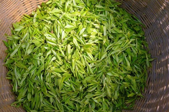 烏牛早和龍井的區別圖片，龍井43號和烏牛早茶的對比