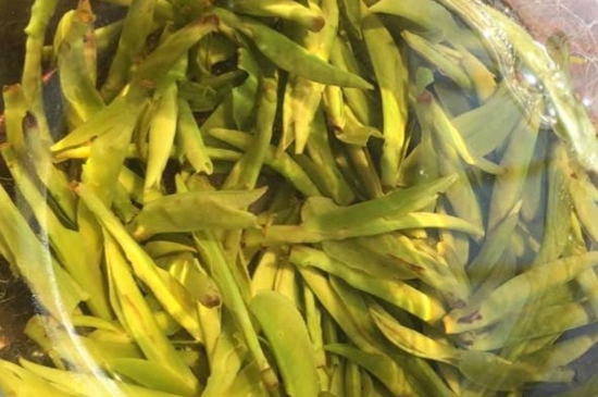 龍井是明前的好還是雨前的好，明前茶和雨前茶哪個(gè)好喝？