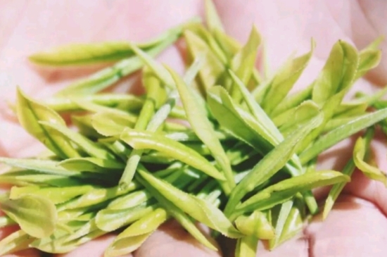 龍井是明前的好還是雨前的好，明前茶和雨前茶哪個(gè)好喝？