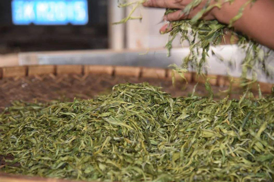 炒青綠茶與綠茶的區別，烘青和炒青哪個(gè)好喝？