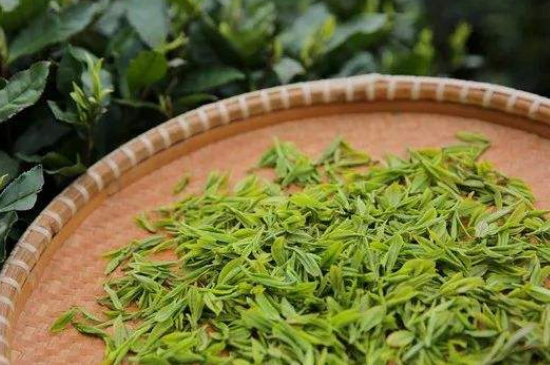 炒青綠茶與綠茶的區別，烘青和炒青哪個(gè)好喝？