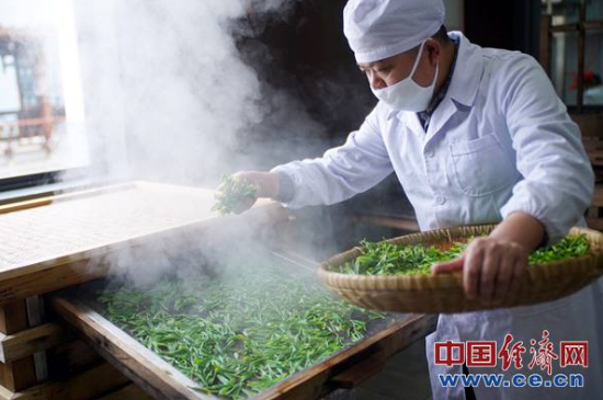 炒青綠茶與綠茶的區別，烘青和炒青哪個(gè)好喝？