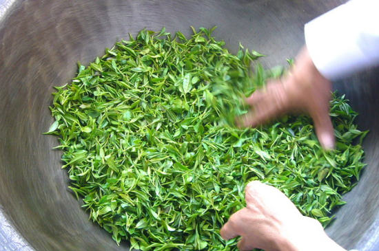 綠茶加工工藝流程圖，綠茶的加工制作包含哪幾個(gè)步驟？