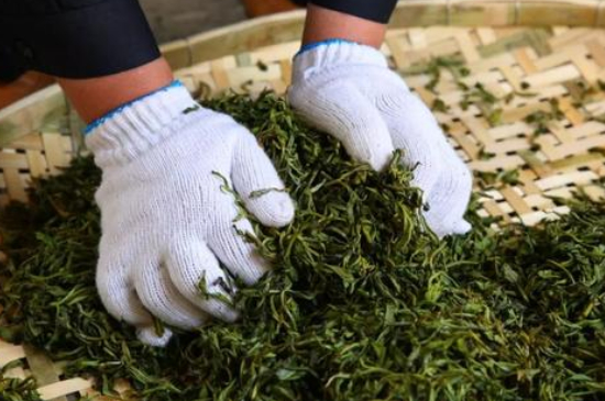 綠茶加工工藝流程圖，綠茶的加工制作包含哪幾個(gè)步驟？