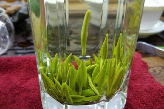 雀舌有一股青草味，雀舌為什么有青草味？