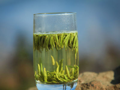 竹葉青茶怎么樣，檔次較高味道略苦價(jià)格比較貴