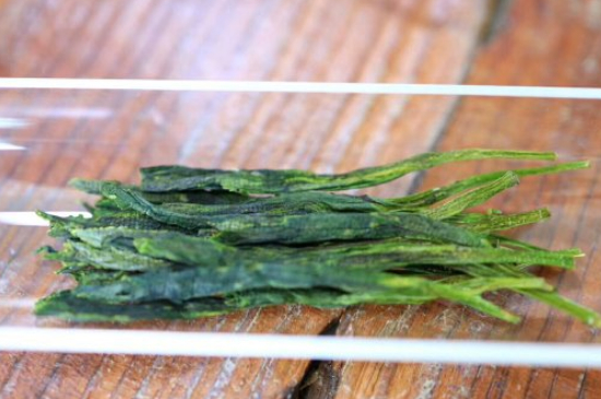 什么綠茶最香最好喝，綠茶口感與香氣排名
