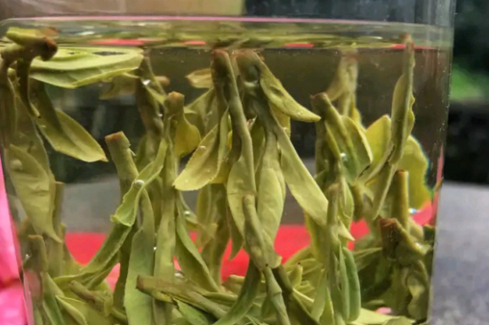 什么綠茶最香最好喝，綠茶口感與香氣排名