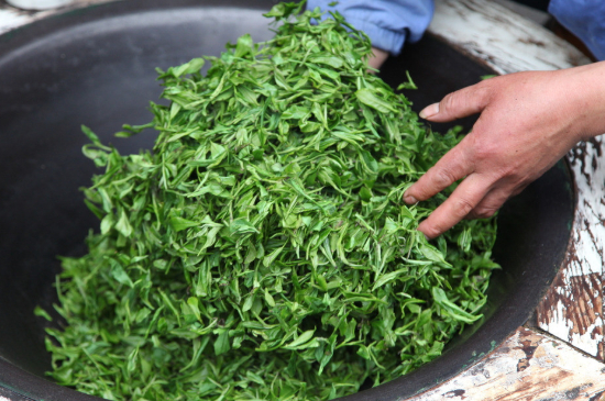 潮汕炒茶屬于什么茶，潮汕炒茶是綠茶嗎？