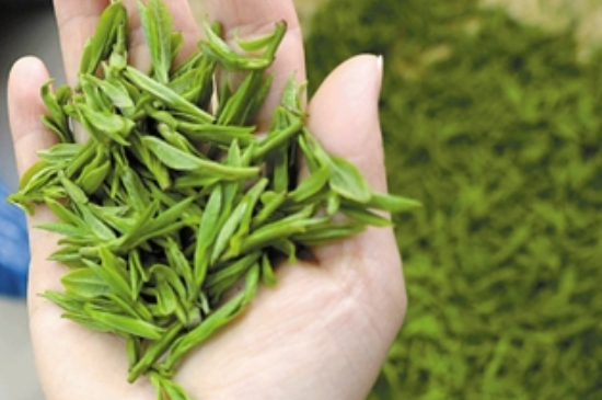 潮汕炒茶屬于什么茶，潮汕炒茶是綠茶嗎？