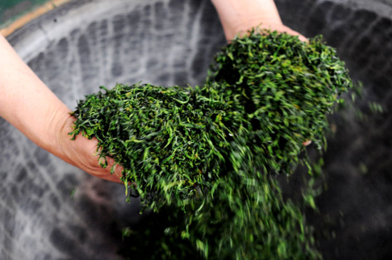 潮汕炒茶屬于什么茶，潮汕炒茶是綠茶嗎？
