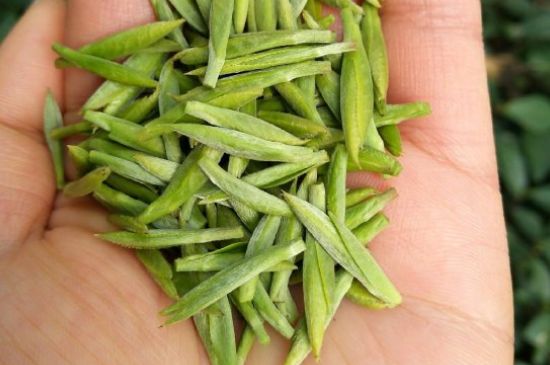 什么綠茶味道濃香，那個(gè)綠茶比較濃香？