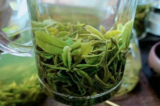 什么綠茶味道濃香，那個(gè)綠茶比較濃香？