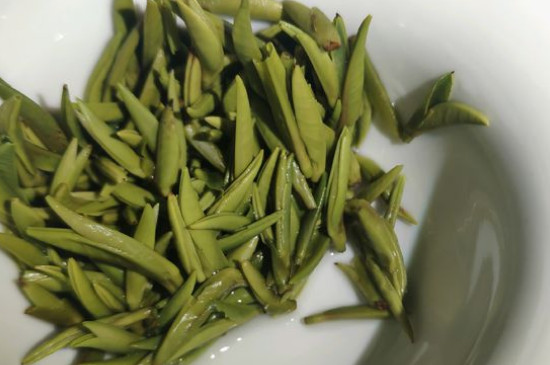 竹葉青茶怎么泡，竹葉青如何沖泡