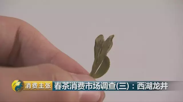 龍井群體種和43號的區別圖片，龍井43和群體種哪個(gè)好喝？