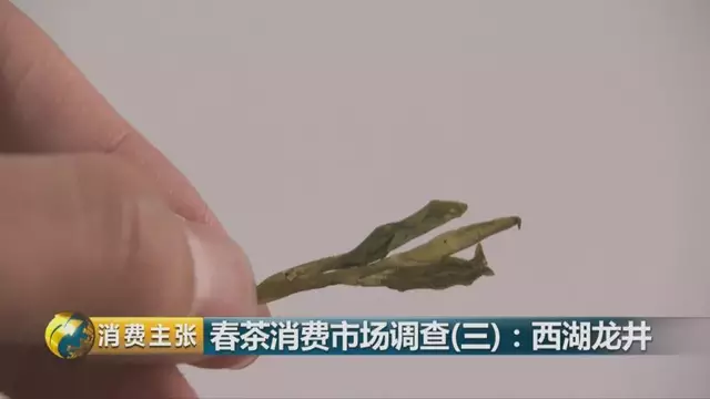龍井群體種和43號的區別圖片，龍井43和群體種哪個(gè)好喝？