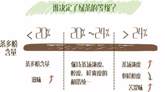 什么綠茶口味重口感濃郁，口味比較重的綠茶都有那些？