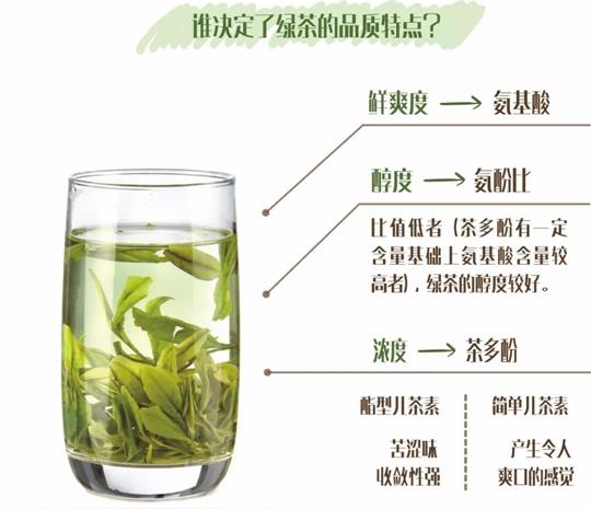 什么綠茶口味重口感濃郁，口味比較重的綠茶都有那些？