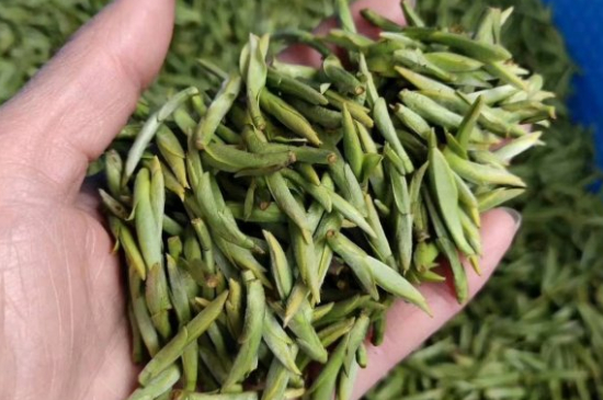 龍井茶好壞的鑒別圖片，如何區別龍井茶的好壞？