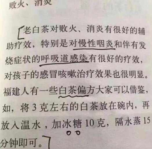 老白茶上火還是去火？夏季喝煮的老白茶會(huì