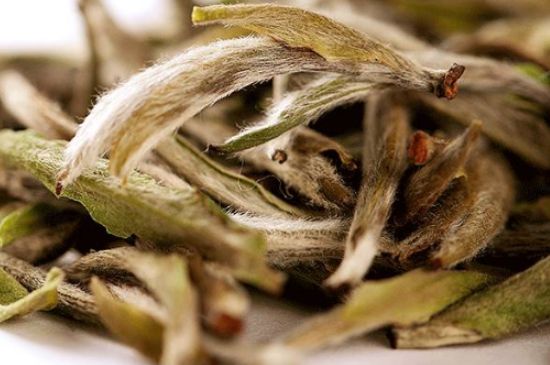 荒野銀針有什么特點(diǎn)，荒野銀針的味道口感咋樣？