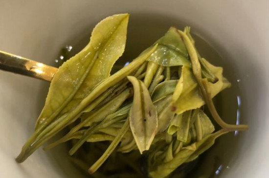新舊白茶怎么區分，怎么分辨白茶是新還是舊