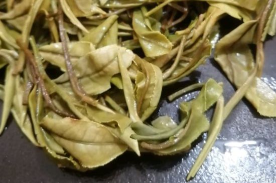 春茶上市白茶的好壞怎么區分，春白茶怎么分辨好不好？