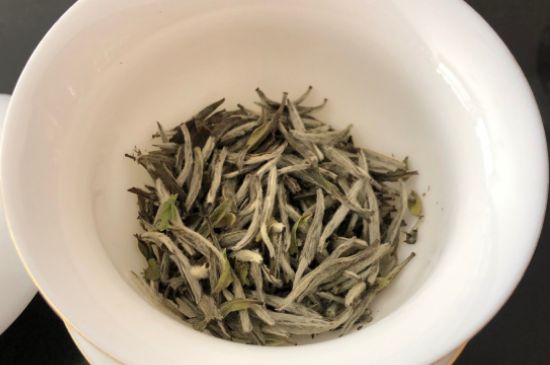 春茶上市白茶的好壞怎么區分，春白茶怎么分辨好不好？