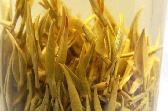 黃茶不適合哪些人喝，黃茶的功效與作用禁忌