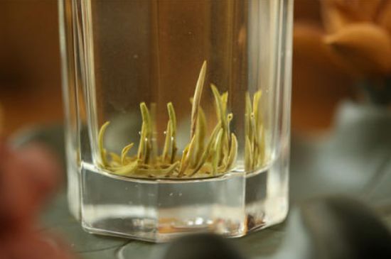 踏雪蘭妃是什么茶，踏雪蘭妃是哪里的茶葉?