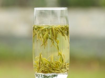 霍山黃芽算是好茶嗎，霍山黃芽屬于什么茶？