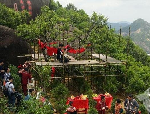 宋種一號價(jià)值為什么高，鳳凰單樅宋種1號價(jià)格與產(chǎn)量多少？