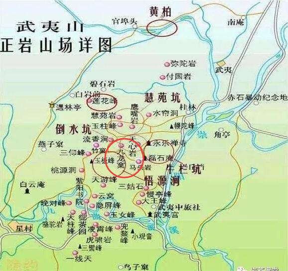 母樹(shù)大紅袍給誰(shuí)喝了，為什么母樹(shù)大紅袍叫三棵六株？