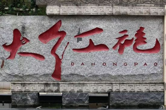母樹(shù)大紅袍給誰(shuí)喝了，為什么母樹(shù)大紅袍叫三棵六株？