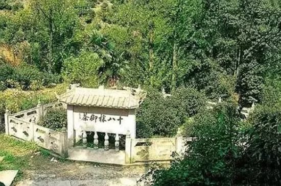 母樹(shù)大紅袍給誰(shuí)喝了，為什么母樹(shù)大紅袍叫三棵六株？