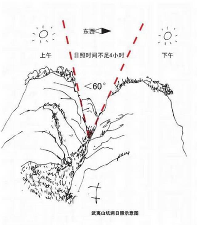 武夷山為什么盛產(chǎn)茶葉，武夷山茶為什么好喝？