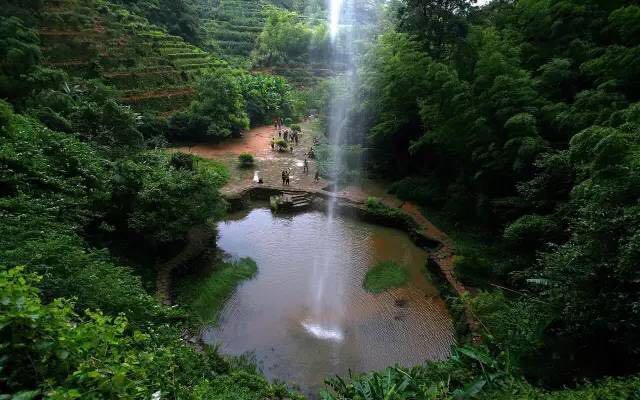 武夷山為什么盛產(chǎn)茶葉，武夷山茶為什么好喝？
