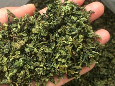 鐵觀(guān)音毛茶茶?？梢耘菟葐?，鐵觀(guān)音帶梗是不是好茶？