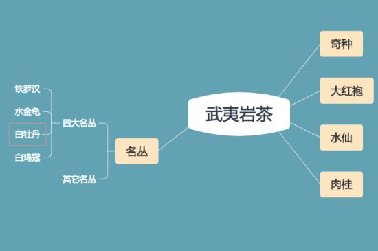 武夷巖茶品種大全，巖茶有幾種？