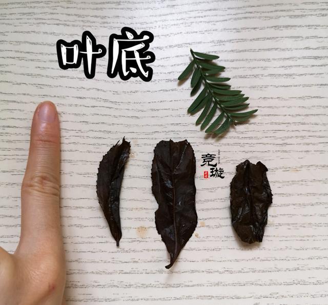 正山小種很細還很黑亮，正山小種越細越好嗎