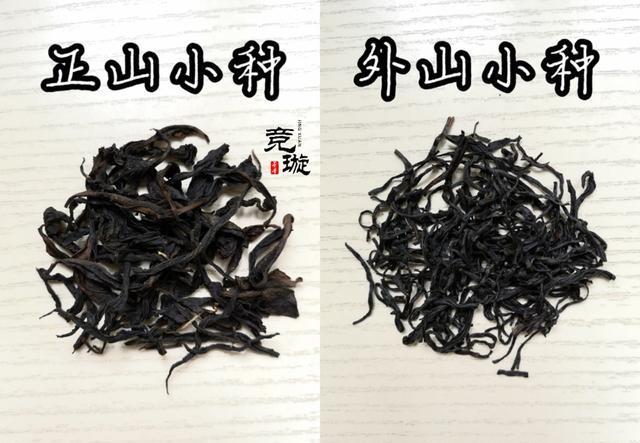 正山小種很細還很黑亮，正山小種越細越好嗎