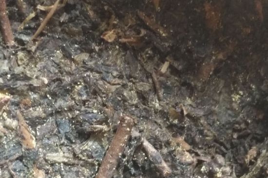 黑茶茯茶保存五大忌，茯茶收藏的注意事項