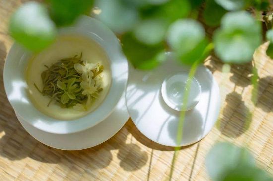 茉莉花茶6種人不要喝，什么體質(zhì)不適合喝茉莉花茶？