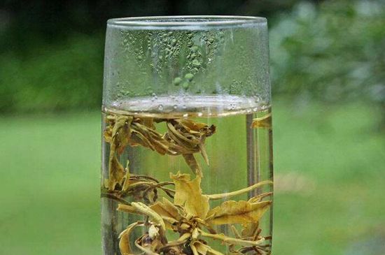 茉莉龍珠什么人不能喝，茉莉龍珠茶什么體質(zhì)不能喝？