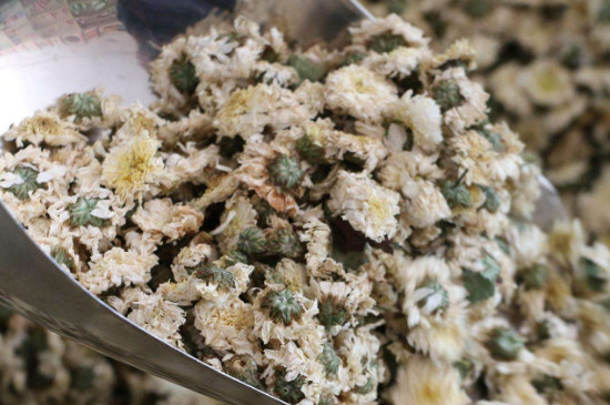 菊花茶買(mǎi)小朵還是大朵，泡茶用的小菊花和大菊花哪個(gè)好