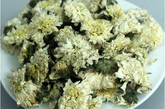 菊花茶買(mǎi)小朵還是大朵，泡茶用的小菊花和大菊花哪個(gè)好